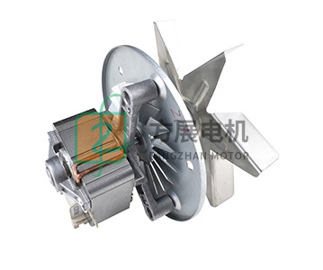 FZ6020 Oven motor